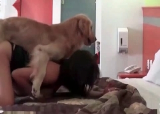 Watch a hound fucking with a masked zoophile