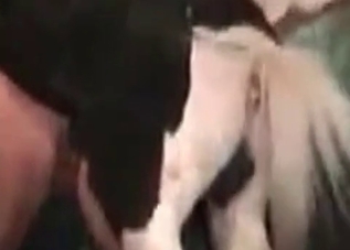 Dirty beast is fucking a pervert on the farm