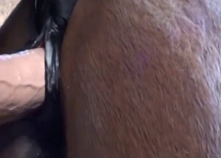 Screwing my horse ass with a big dildo