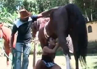 Lovely pervert is making two horses fuck her hard