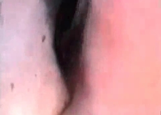 Amateur zoophile is fucking on cameras
