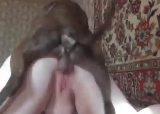 Watch a puppy enjoying an anal fuck