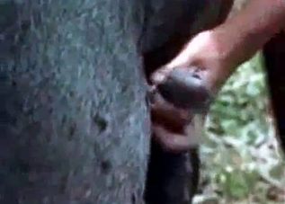 Ebony zoophile with massive breasts