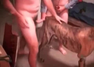 Zoo sex clip including an anal fuck scene