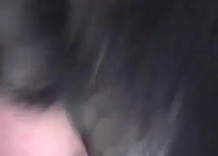 Kinky puppy is demonstrating its fuck skills