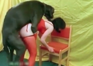 Cute puppy gets banged in a doggy style pose