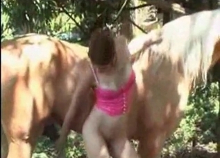 Lovely animal gets banged outdoors