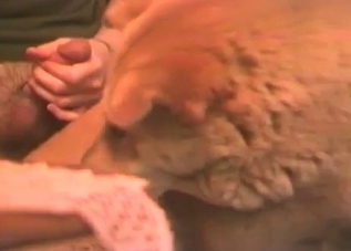Dirty doggy is giving a head