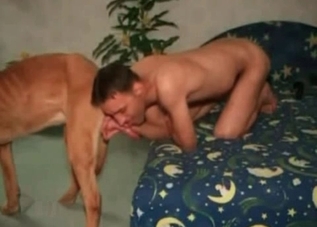 Sensual man is presenting a beast with a blowjob