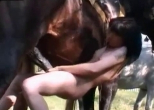 Watch a stallion banging a mademoiselle