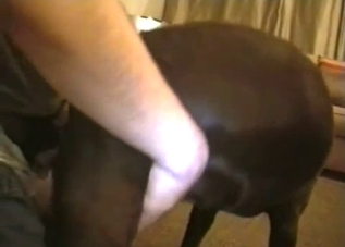 Filthy fat zoophile fucks his lovely doggy
