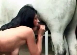 Stallion and hot babe are enjoying insane sex