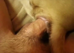 Seducing and fucking my doggy on the camera
