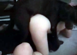 Masked whore is presenting a puppy with a BJ