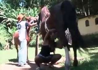Lovely pervert is making two horses fuck her hard