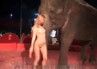 Naked whore is satisfying an elephant