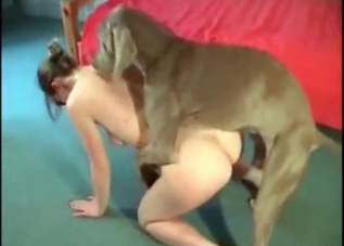 Massive hound is presenting a whore with a deep penetration