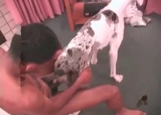 Ass fucking session with an animal at home