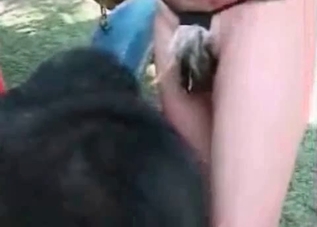 Sexy model with big boobs is playing with a monkey
