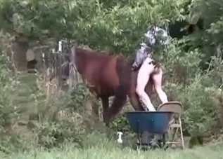 Ass fucking clip starring a stallion
