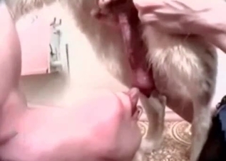 Sweet pervert is tasting a puppy's boner