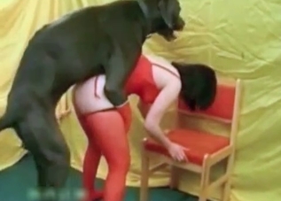 Cute puppy gets banged in a doggy style pose